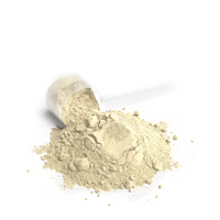 Performance Whey Protein Blend (Vanilla Ice Cream)